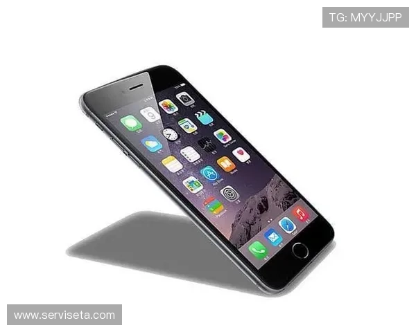 凯发体育app手机安全保障措施，保障用户账号信息安全与隐私保护